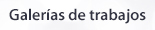 Galer&iacute;as de trabajos